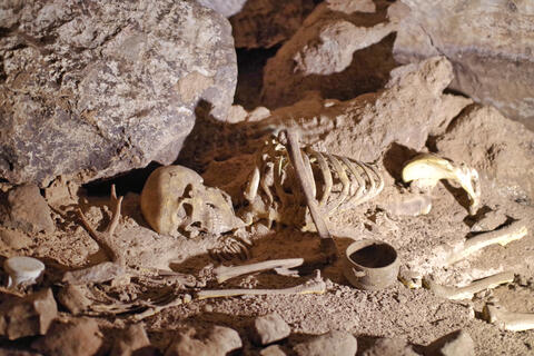 The Oldest DNA is to a Czechia Woman Who Lived 45000 Years Ago