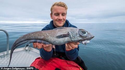 19-Year-Old Fisherman Catches 'Weird, Dinosaur-like Creature' in Norway